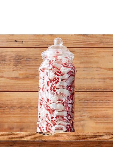 Mintoes Sugar Free Treat Jar