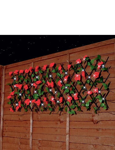 Red Solar Expanding Trellis