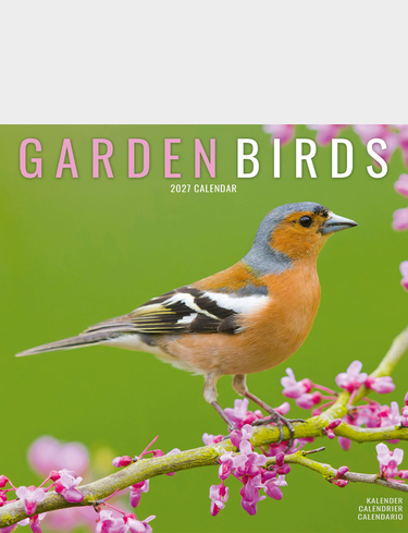 Garden Birds Luxury 2026 2027 Calendar