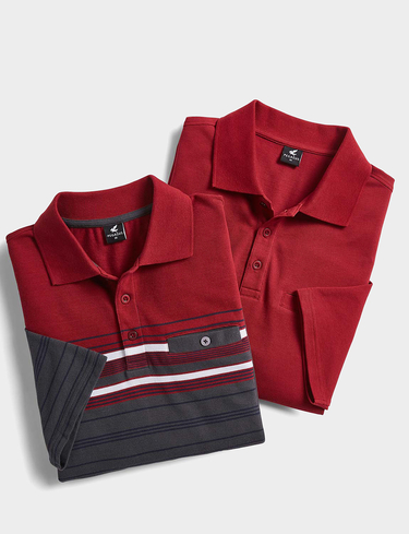 Pegasus 2 Pack Stripe and Plain Pique Polo