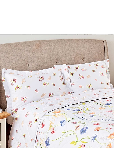 Belledorm Larissa Extra Oxford Pillowcases