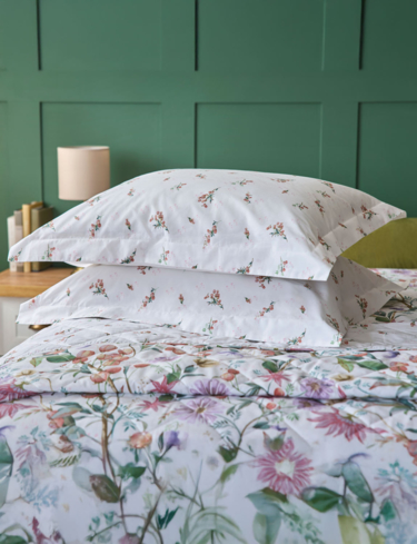 Cleo Extra Oxford Pillowcases